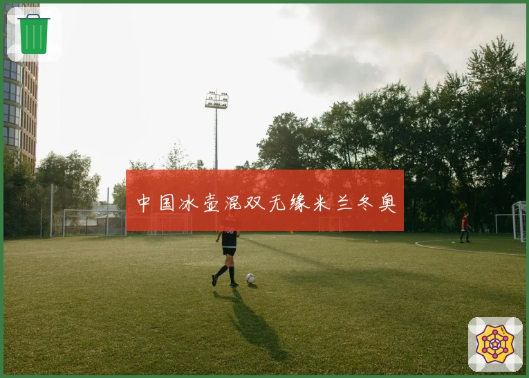 中国冰壶混双无缘米兰冬奥